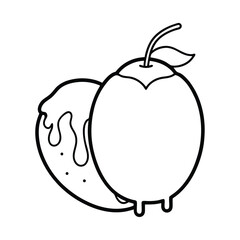 Mango Flavored Gola with Dripping Syrup and Mint