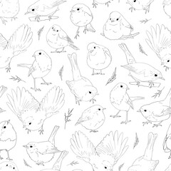 Fototapeta premium Robin birds line art seamless pattern, outline clip arts of European birds background, coloring book birds pattern