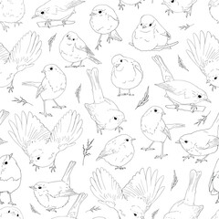 Fototapeta premium Robin birds line art seamless pattern, outline clip arts of European birds background, coloring book birds pattern