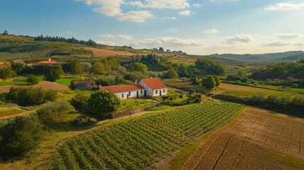 Solar panels in a green field, Portugal. Seen from above.
