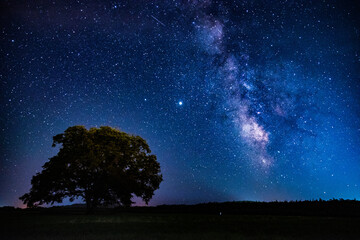 Fototapeta premium 満点の星空の夜中、夏の天の川を眺める1本の木と流星