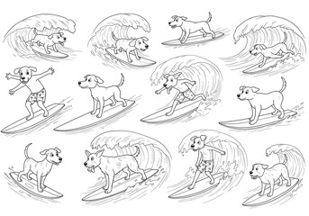 Pawsitive Vibes: Canine Surf Series