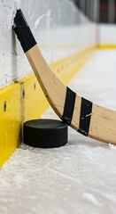 Frozen Moment: Stick and Puck