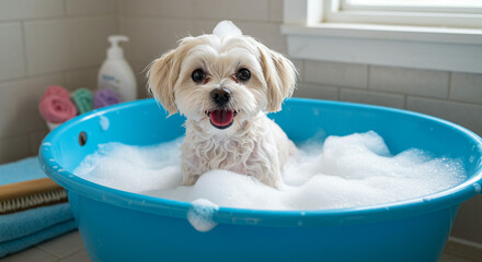 Fluffy white dog in a bathtub with bubbles.
