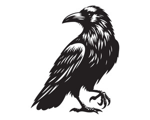 Raven 6.eps