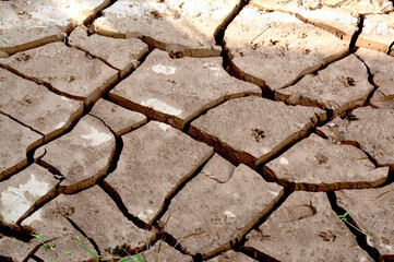 Obraz premium Ground cracked by drought