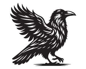 Raven 8.eps