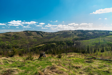 Zlatohorska vrchovina mountains in Czech republic with forest devastaded by timber harvesting