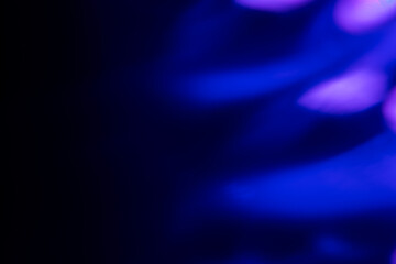 Blur neon light. Lens flare overlay. Bokeh fluorescent flash gleam.