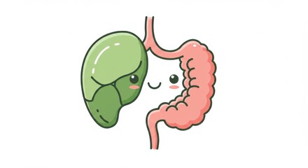 Obraz premium Adorable Cartoon Representation of Human Digestive System Highlighting Liver and Intestines in a Cute Style