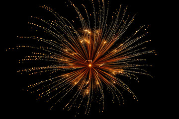 Obraz premium 015-069-270-u8969375333_Fireworks_with_Radiating_Spark_Trails_Silhouette__e6cb67ef-404a-479c-ae51-b3a80f49d857_1