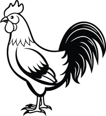 Rooster Silhouette Vector Illustration In White Background
