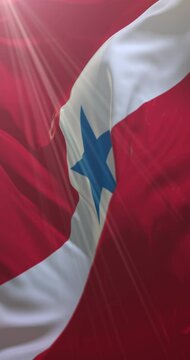 Para state flag, Brazil. Loop. 4K Vertical