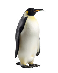 Obraz premium Majestic Emperor Penguin: A regal emperor penguin stands tall, its striking black, white, and yellow plumage. Photographed in a studio setting, showcasing its distinct features.