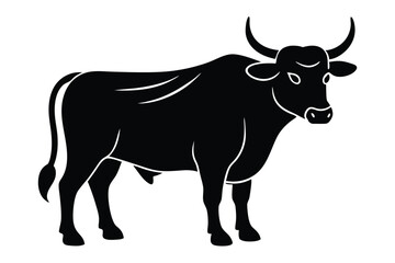 cow vector illustration