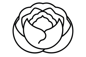 cabbage-vector-icon.eps