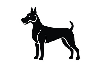 black and white dog