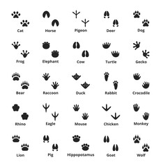 vector set of footprints of various animals