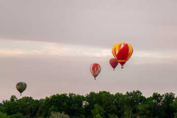 A group of vibrant hot air balloons drifts gracefully