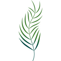 Palm Leaf Decoration