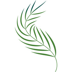 Palm Leaf Decoration