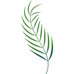 Palm Leaf Decoration