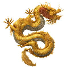 Obraz premium Majestic Golden Dragon Art , isolated on white background png