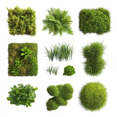 Assorted Green Plants in Square and Round Patterns