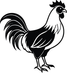 rooster isolated on white background