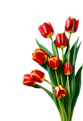 Obraz premium Vibrant Bouquet of red Tulips on Transparent Background