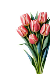 Obraz premium Vibrant Bouquet of red Tulips on Transparent Background