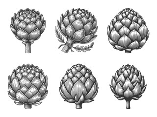Fototapeta premium artichoke Set collection bundle sketch engraving generative ai raster illustration. Scratch board imitation. Black and white image.