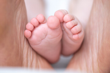 Tender Touch: Close-up of tiny, delicate baby feet cradled within loving hands, expressing a sense of unconditional love and the new beginning.