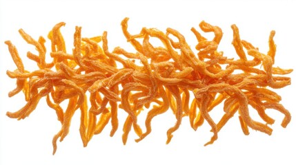 Close up of Cordyceps Sinensis on white background showcasing its unique shape and texture for health and wellness