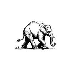 Elegant Monochrome Illustration Showcasing a Majestic Elephant in Striking Detail