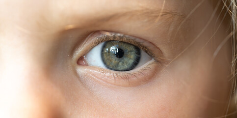 Close-up Gaze: A captivating close-up view of a focused, eye, reflecting both curiosity and depth....