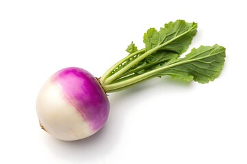 Healthy Turnip Isolated on White