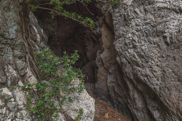 宮﨑 大御神社摂社 岩窟の中に鎮座する 鵜戸神社