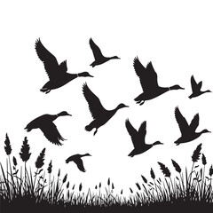 Silhouette of Ducks Flying Over Tall Grass Vector Illustration Art