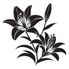 Silhouette Lily Flowers Vector Illustration Elegant Botanical Graphic Design