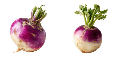 Fresh Purple Turnips with Green Leaves Isolated on a Transparent Background