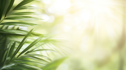 Obraz premium Tropical sunlight filtering through lush palm leaves, relaxing vacation background