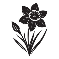 Elegant Daffodil Flower Blossom Vector Silhouette Illustration