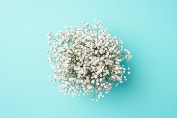 Fototapeta premium Delicate white flowers in a round arrangement on a turquoise background.
