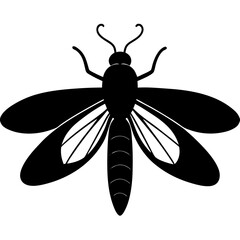 Black Silhouette of a Large Insect with Wings