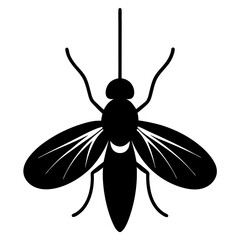 Black and White Silhouette of a Mosquito Insect