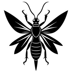 Stylized Black and White Insect with Large Wings