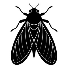 Black and White Cicada Illustration Vector Graphic