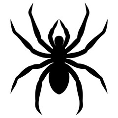 Black Spider Silhouette Illustration Graphic Design