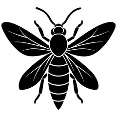 Black and White Stylized Bee Illustration